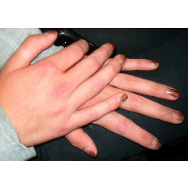 Dusty Glow Of The Outback Rodarte Backstage NYFW