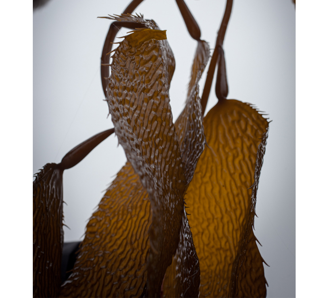 Meet Angela Reece: Celebrity Makeup Artist