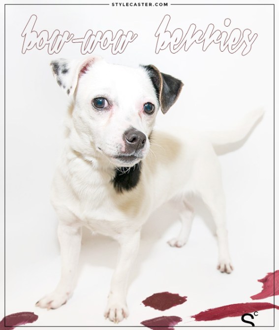 Photo by Tiffany Hagler-Geard; Graphic Design by Rolando Robinson