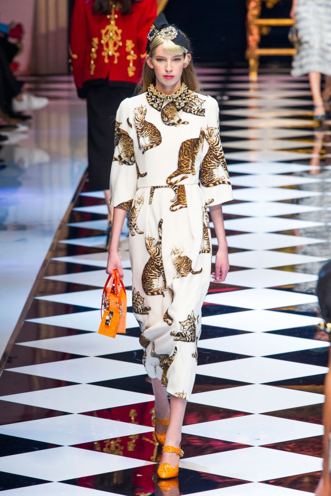 D&G's cat-print dress. (ImaxTree)