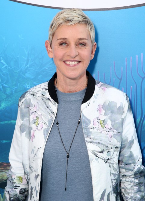 Ellen DeGeneres Hair