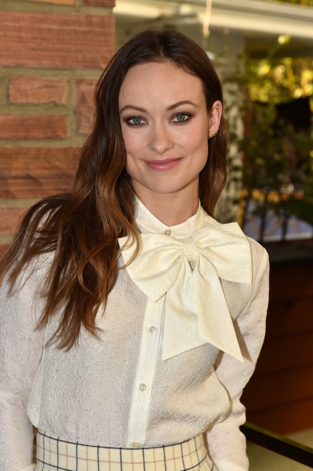 Olivia Wilde Hair