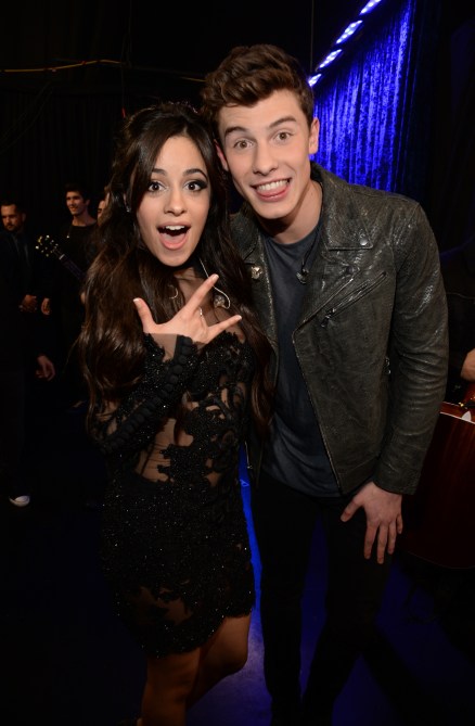Camila Cabello and Shawn Mendes