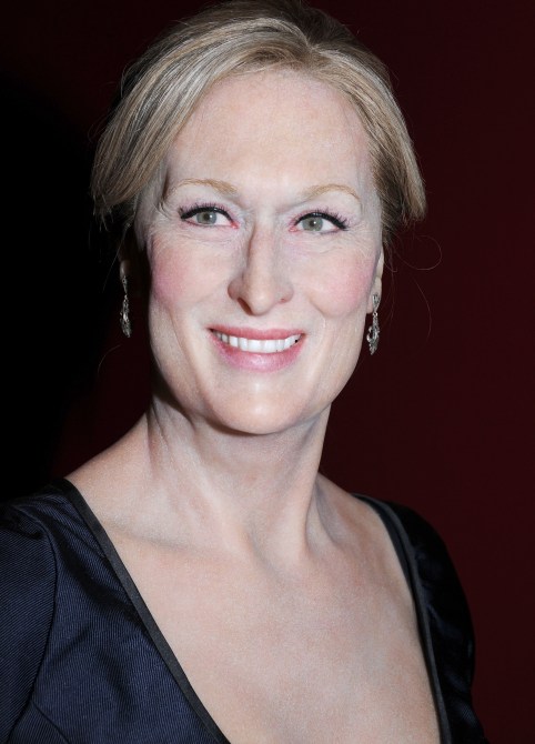 Meryl Streep Wax Figure