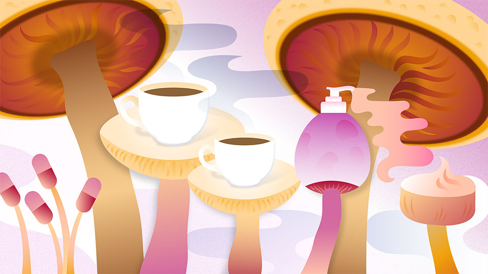Mushroom Beauty and Wellness Benefits