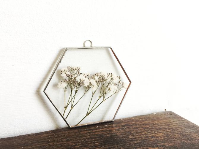 STYLECASTER | framed plants