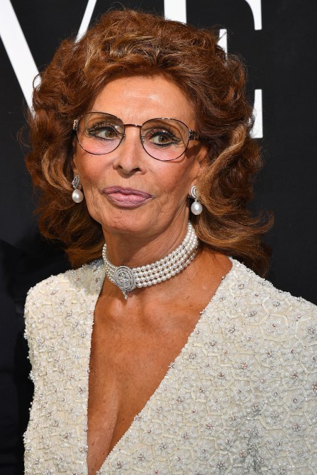 Sophia Loren