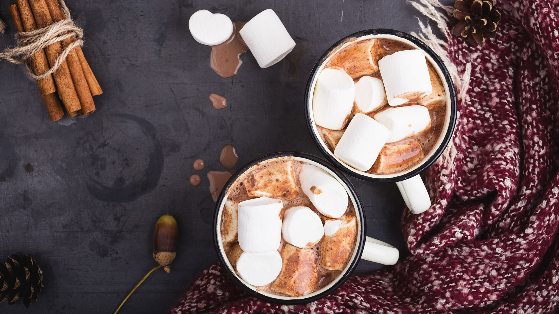 A Complete Ranking of the Best Store-Bought Hot Cocoa