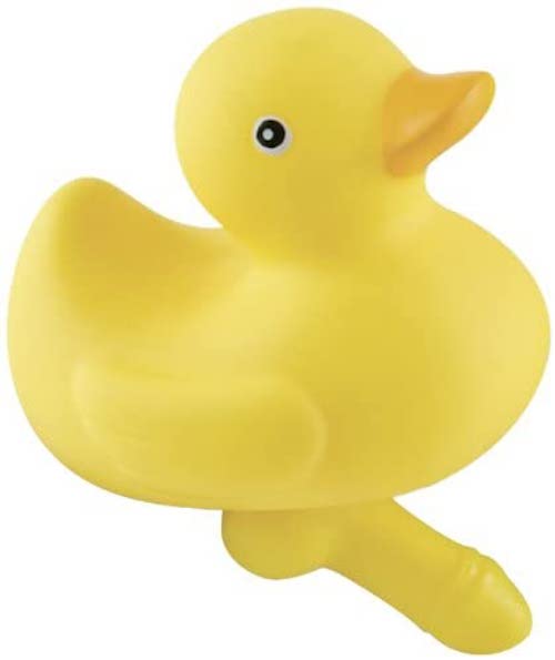 STYLECASTER | Weird Sex Toys | duck with a dick