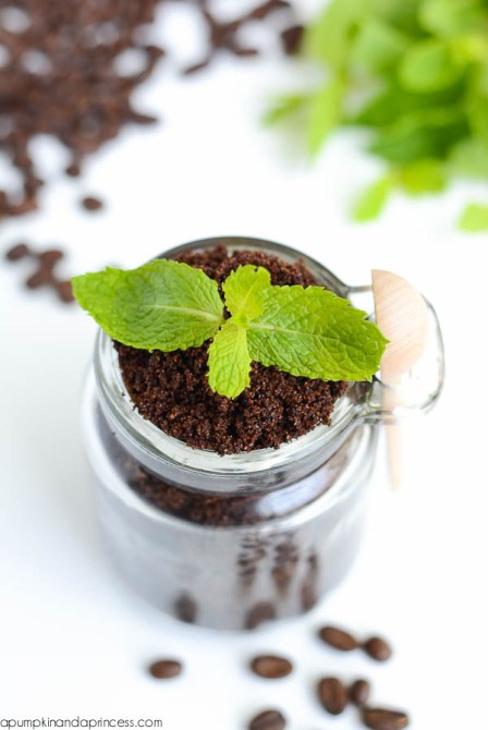 coffee-scrub-pumpkin-and-a-princess