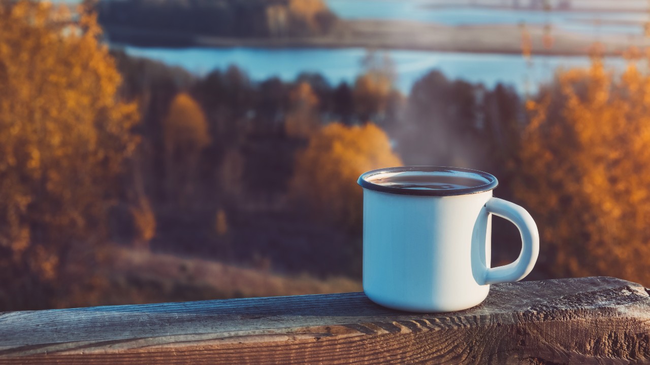 Best K-Cups on Amazon