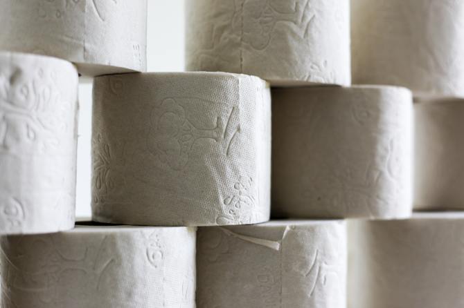 STYLECASTER | funny zoom backgrounds toilet paper