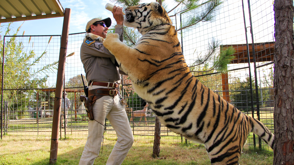 Tiger King