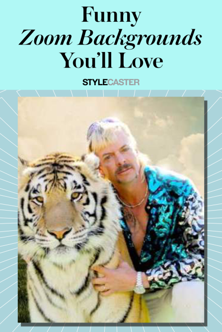 STYLECASTER | funny zoom backgrounds