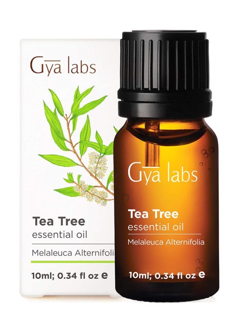 Gya Labs Tea Tree Essential Oil