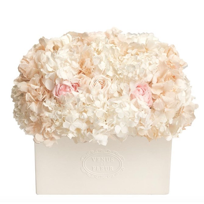 STYLECASTER | Venus Et Fleur Maison Collection