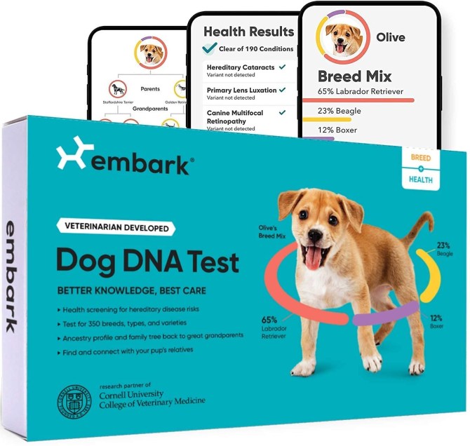 Embark Dog DNA Test Kit