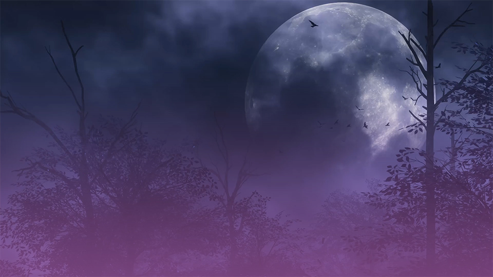 STYLECASTER | 2021 full moon calendar