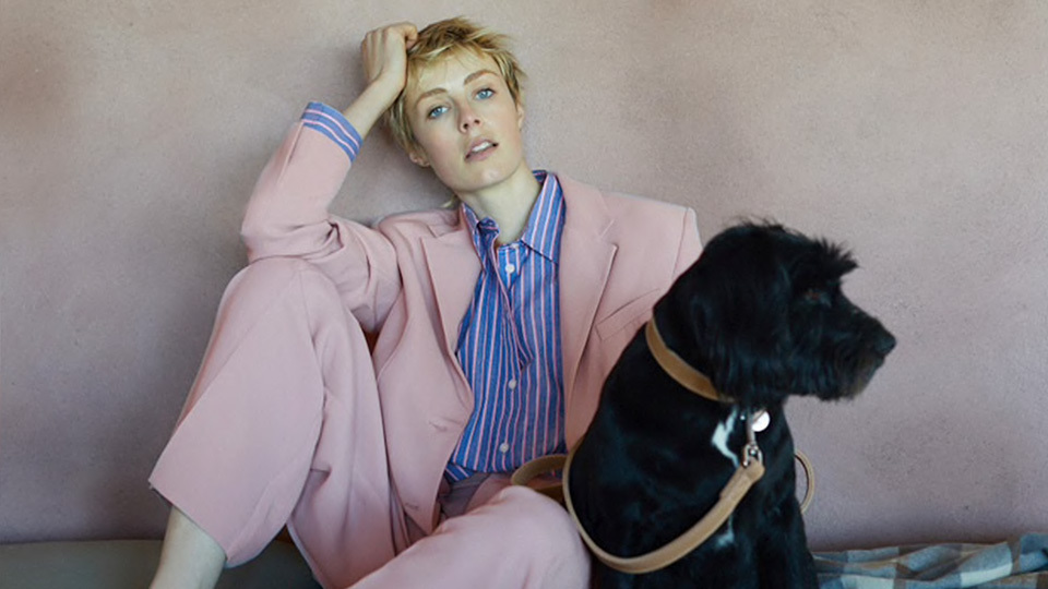 STYLECASTER | Zara Pet Collection