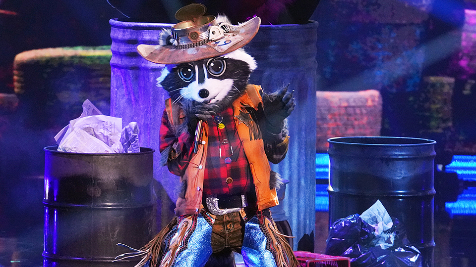 Raccoon, "The Masked Singer"