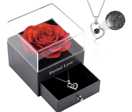 Preserved Flower Rose with Necklace