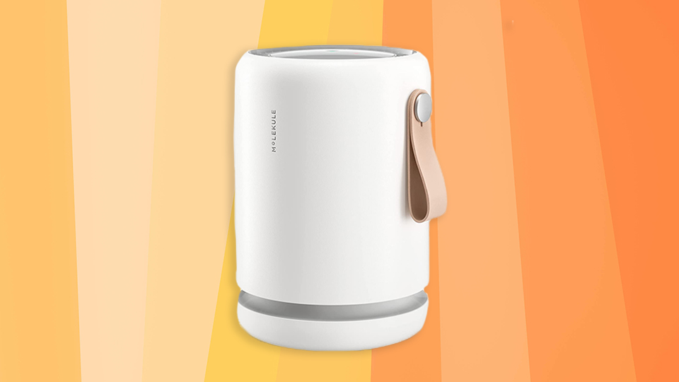 STYLECASTER | Molecule Air Purifier Sale