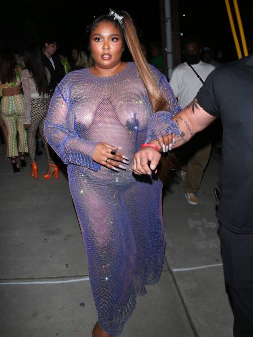 STYLECASTER | Lizzo Sheer Dress