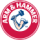 Arm and Hammer logo