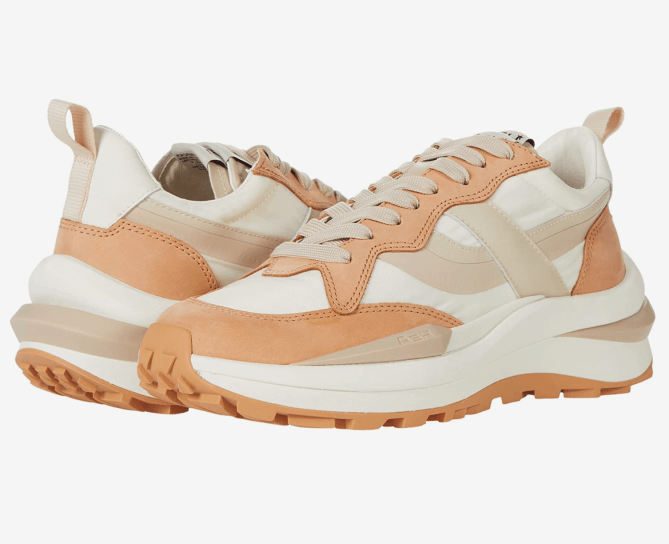 Ash Spider 620-01 Zappos