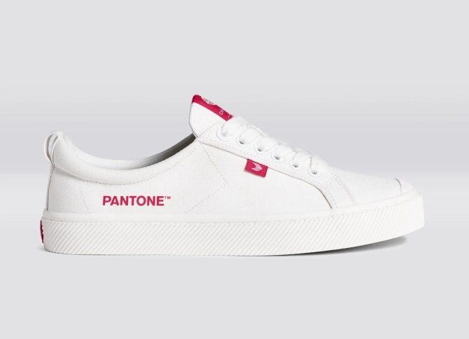 Cariuma OCA Low Canvas