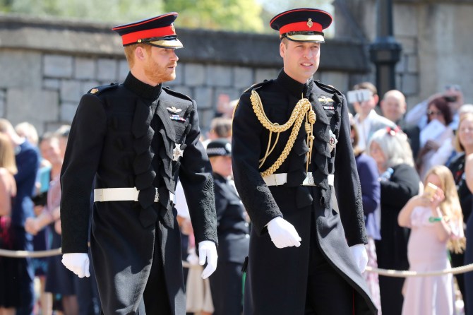 Prince William, Prince Harry
