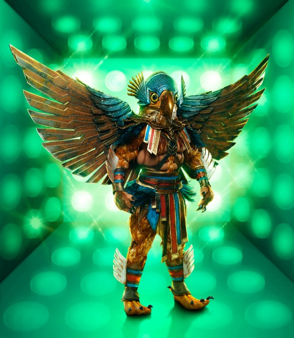 Who's Hawk on The Masked Singer?