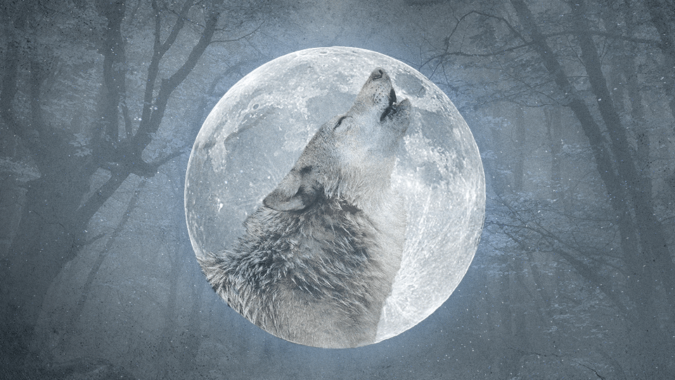 StyleCaster—Wolf Moon Meaning 2024: The Spiritual Significance of January's Full Moon