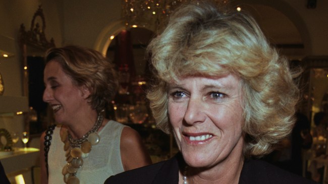 Camilla Parker Bowles Young Photos: Queen Camilla Now vs Then