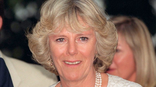Camilla Parker Bowles Young Photos: Queen Camilla Now vs Then