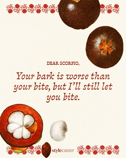 Valentine’s Day card that says:

Dear Scorpio,

Your bark is worse than your bite, but I’ll still let you bite.