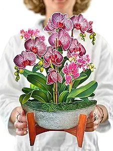 Freshcut Paper Pop Up Cards, Orchid Oasis
