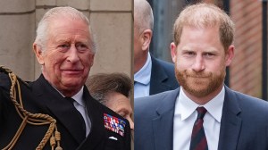 King Charles, Prince Harry