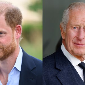 Prince Harry and King Charles