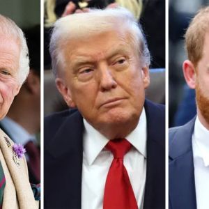 King Charles, Donald Trump, Prince Harry